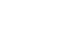 The Dog & Duck